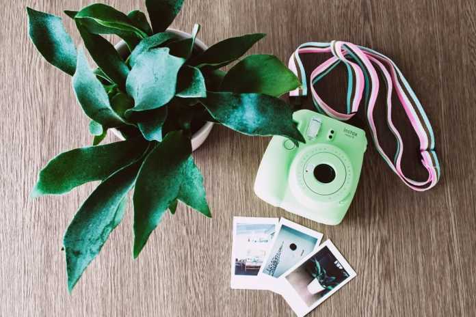 Best Instant Polaroid Camera of the Year