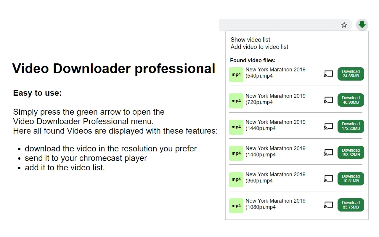 Video Downloader Professional